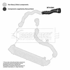 BORG & BECK bth1561 -  Трубка нагнетаемого воздуха